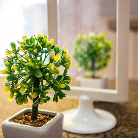 קאטוליקה Hotel Nuovo Fiore מראה חיצוני תמונה