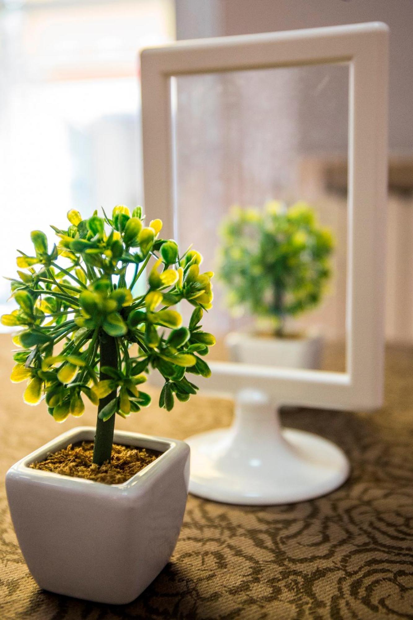קאטוליקה Hotel Nuovo Fiore מראה חיצוני תמונה